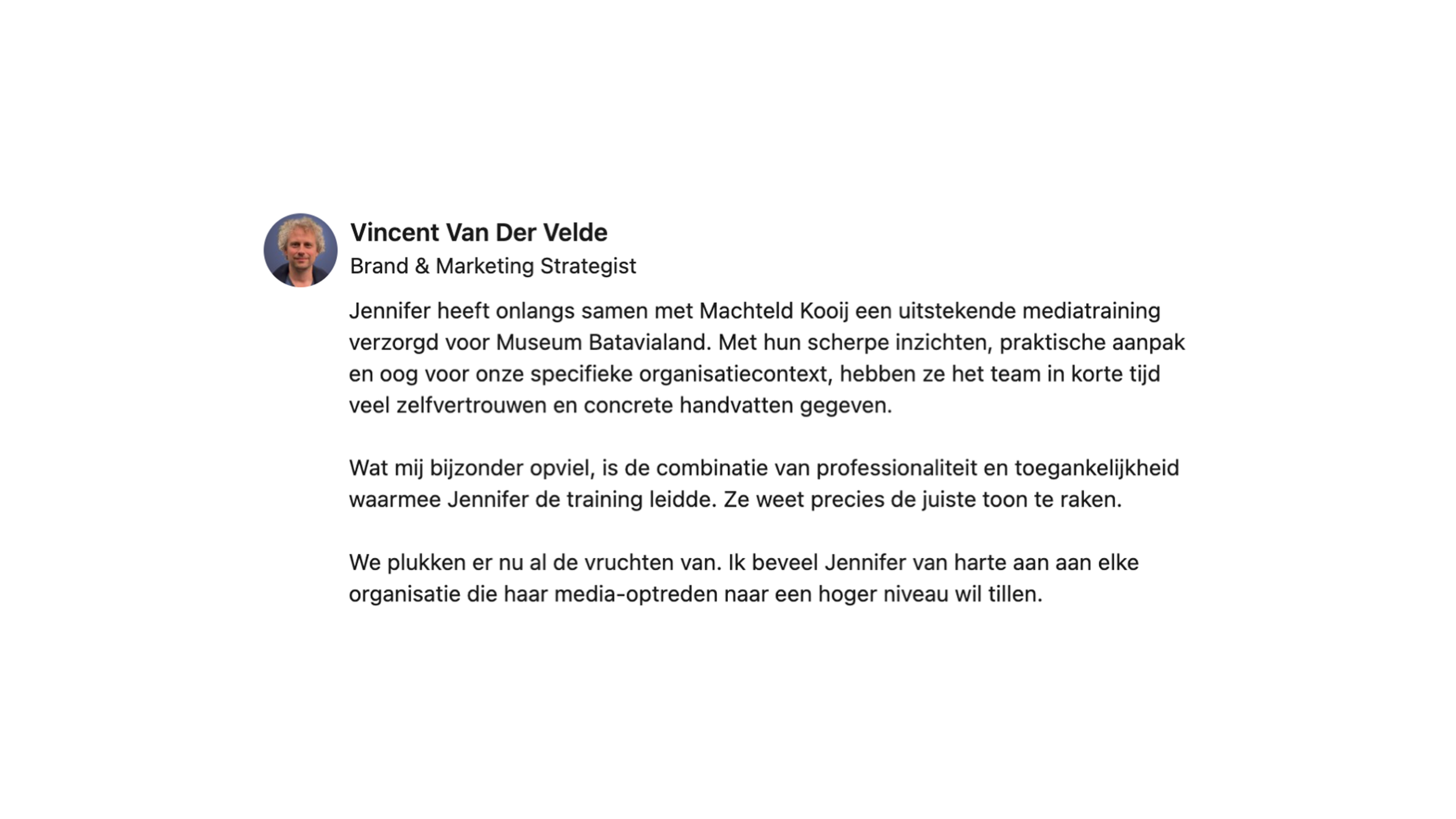 LinkedIn Review van Vincent Van Der Velde