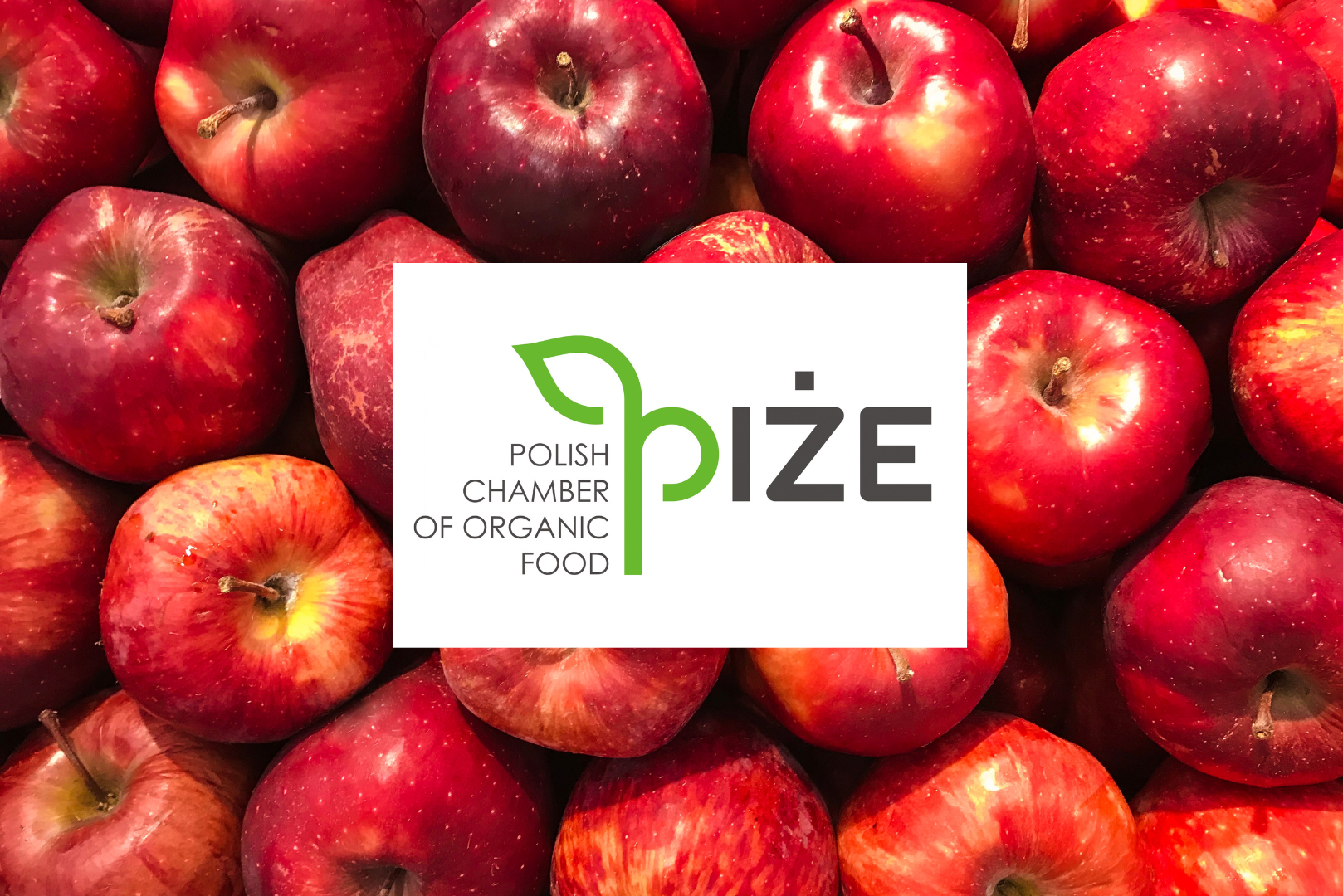 Polish Chamber of Organic Food PR campagne voor biologisch eten PRGoeroes